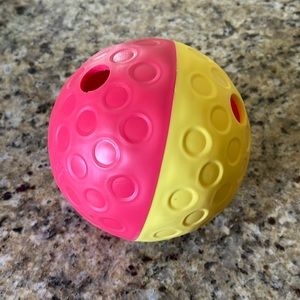 Dog Treat Ball Toy for learning